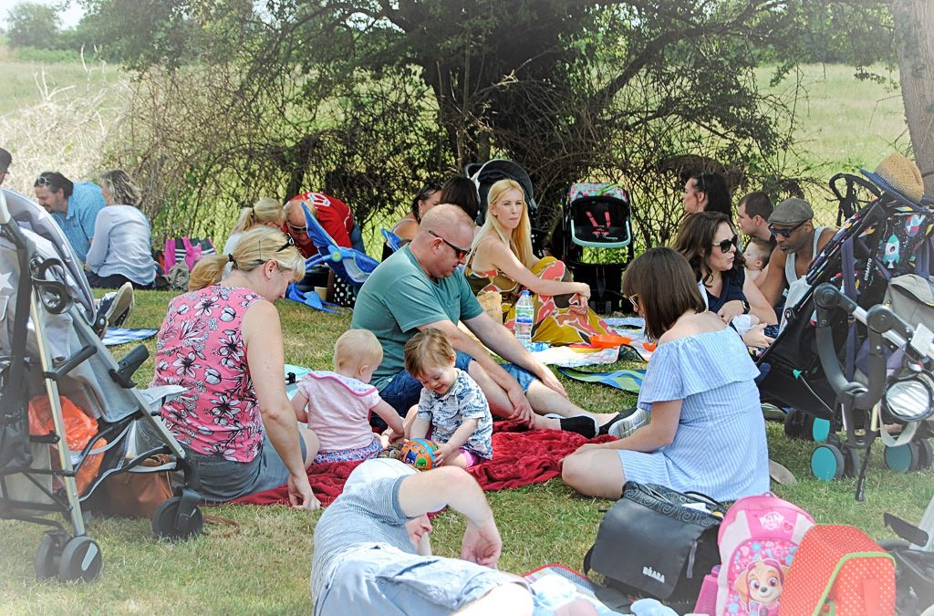 Fun in the Sun – Family Summer Picnic