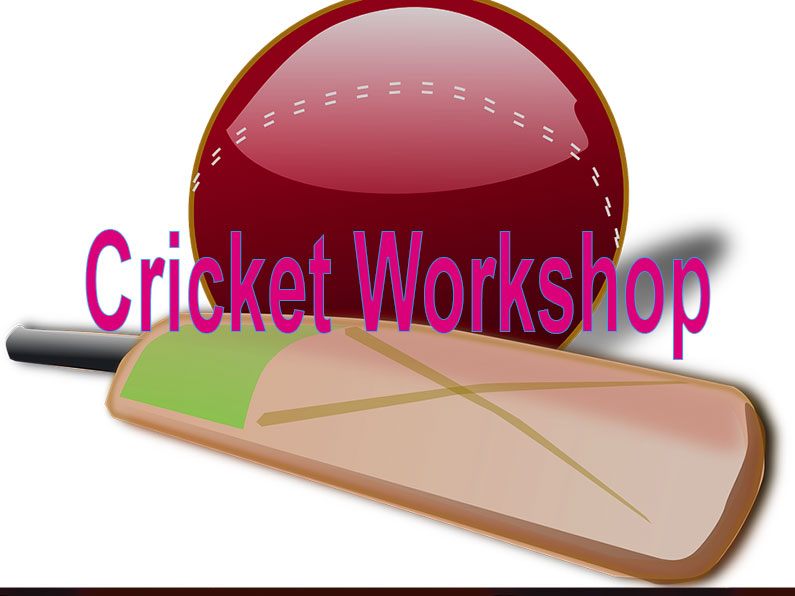 Cricket Workshop Weston super Mare
