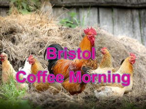 Bristol Coffee Morning at Grimsbury @ Grimsbury Community Farm | England | United Kingdom