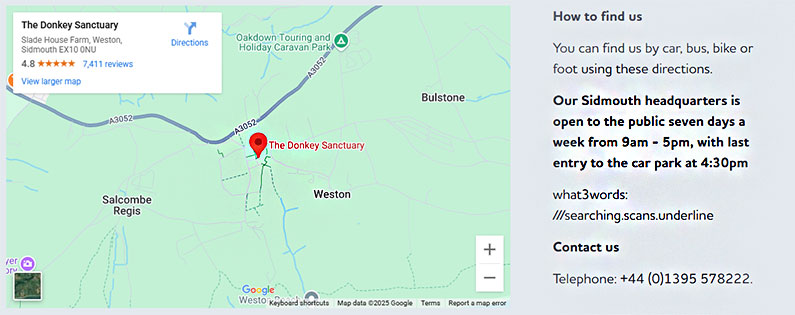 Donkey Sanctuary Photo 3